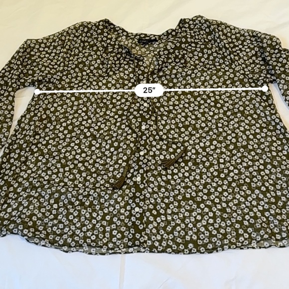 Lane Bryant Sheer Blouse - Picture 3 of 6